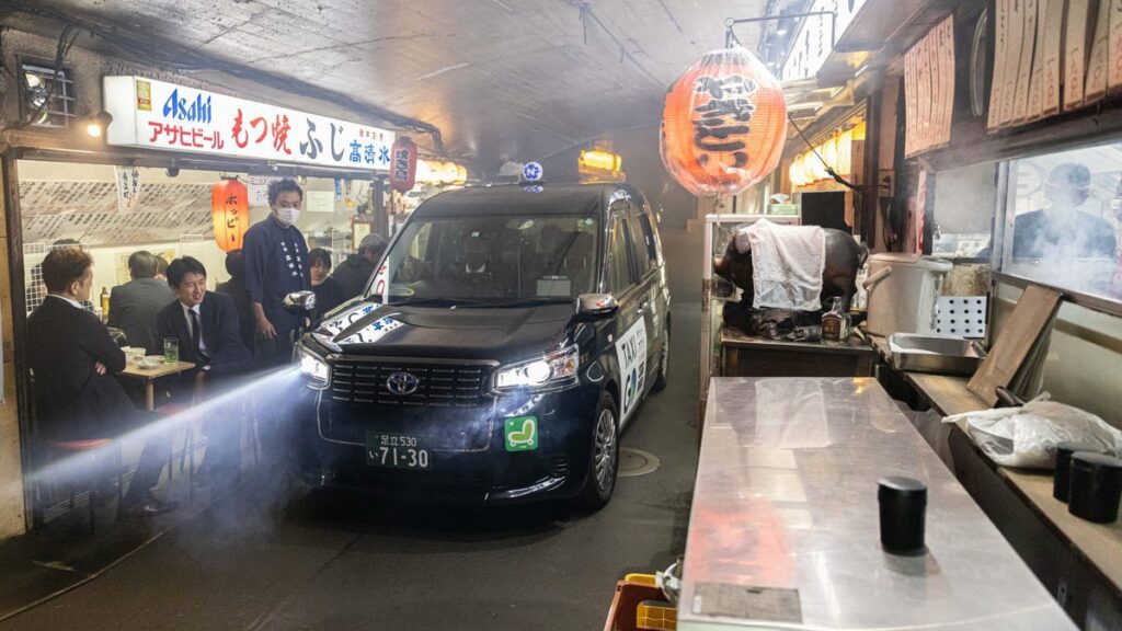 Taxi Driver Charged In Vehicular Pigeon Slaughter Incident In Tokyo