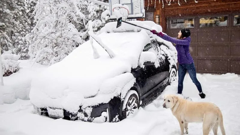 SnoShark Snow Removal Brush for Car