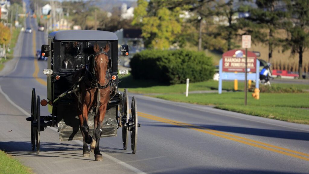 Alleged Horse-And-Buggy Thief In Way More Trouble Than If She Had Just Stolen A Car