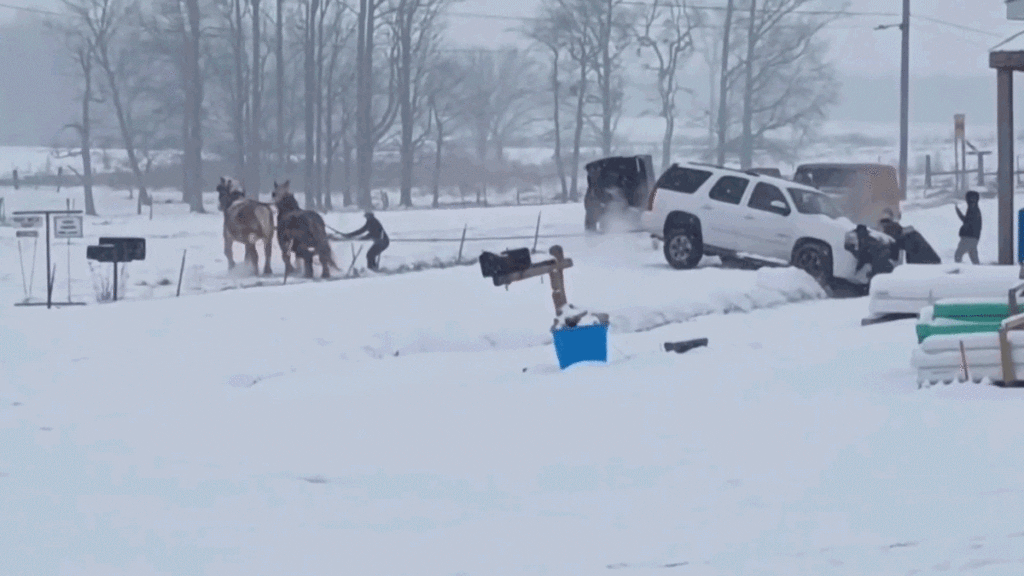 Amish Man Saves SUV Stranded In Snow With His Horses