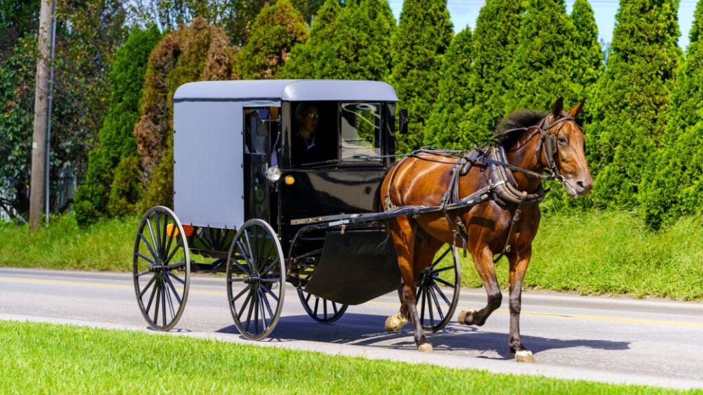 Amish family's horse and buggy stolen from small-town Michigan Walmart