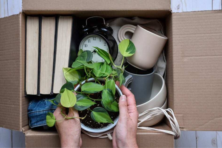 image of a cardboard box with personal belongings inside, Does Home Insurance Cover My Personal Belongings?