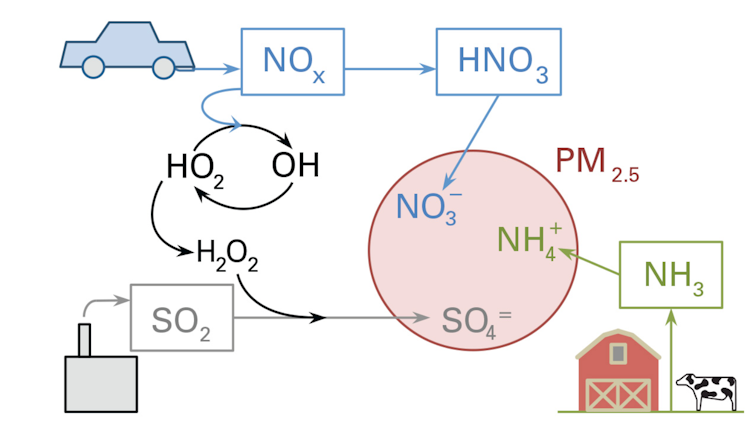 Diagram of PM2.5 formation in the air.