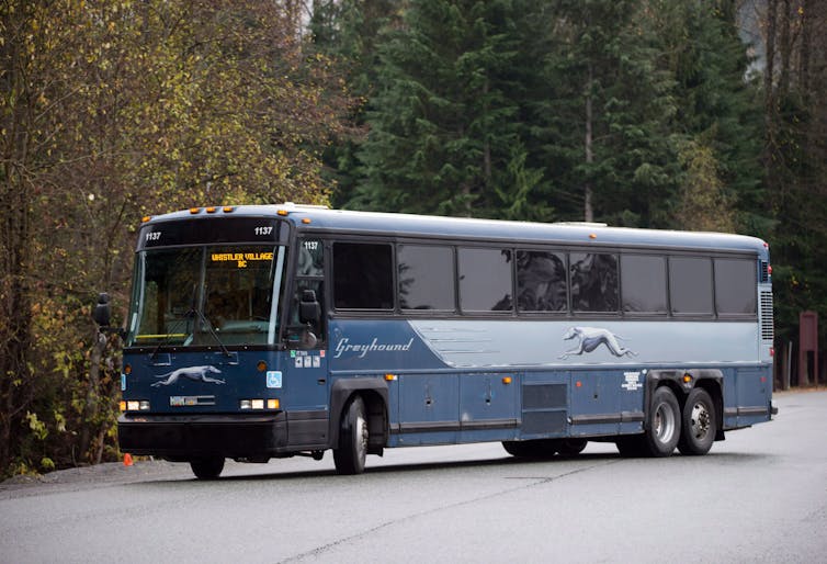 A greyhound bus seen on the road.