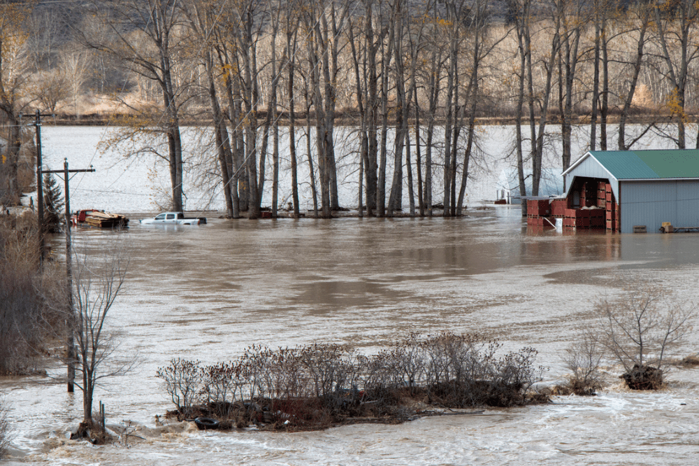 IBC applauds BC flood strategy