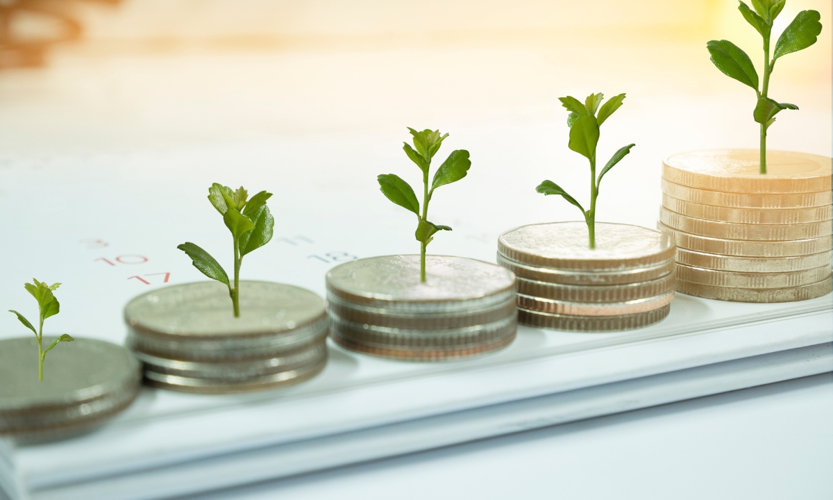 escalating stacks of coins with little plants on them