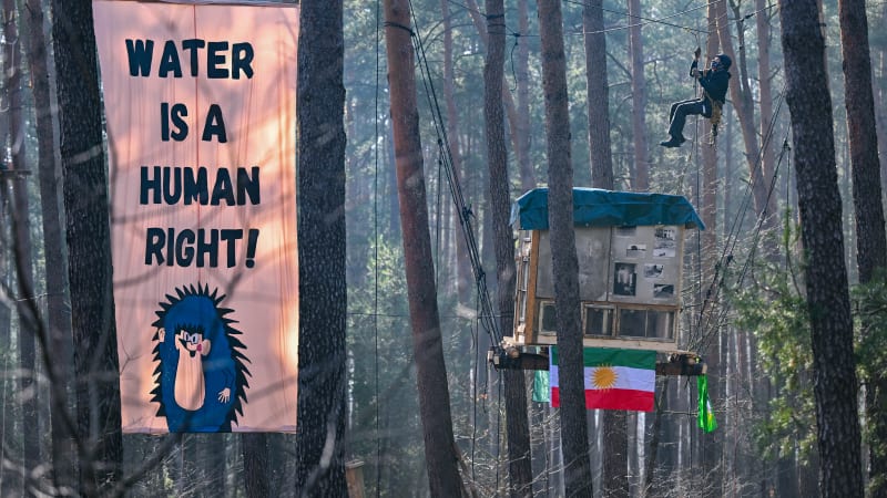 Activists build treehouses to protest Tesla's plans to expand its plant near Berlin