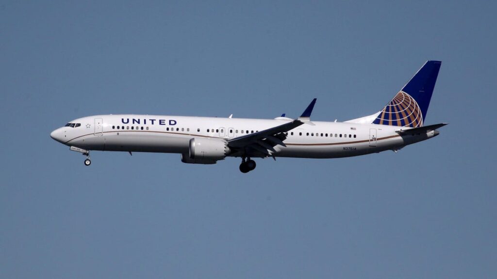 United Airlines Diverts Flight After Dog Poops In Aisle