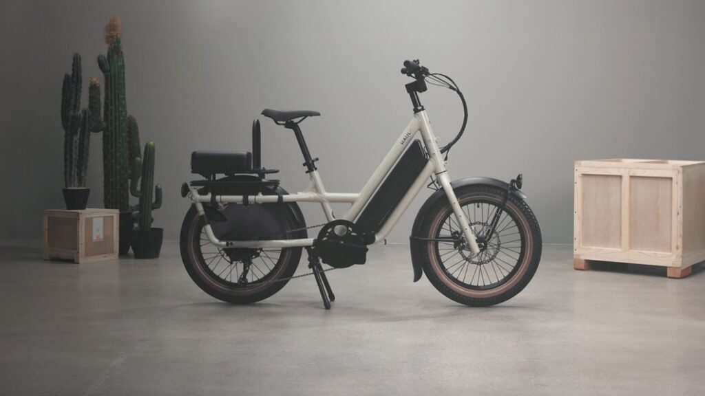 Thinking of getting a second car? An eBike might be a better choice