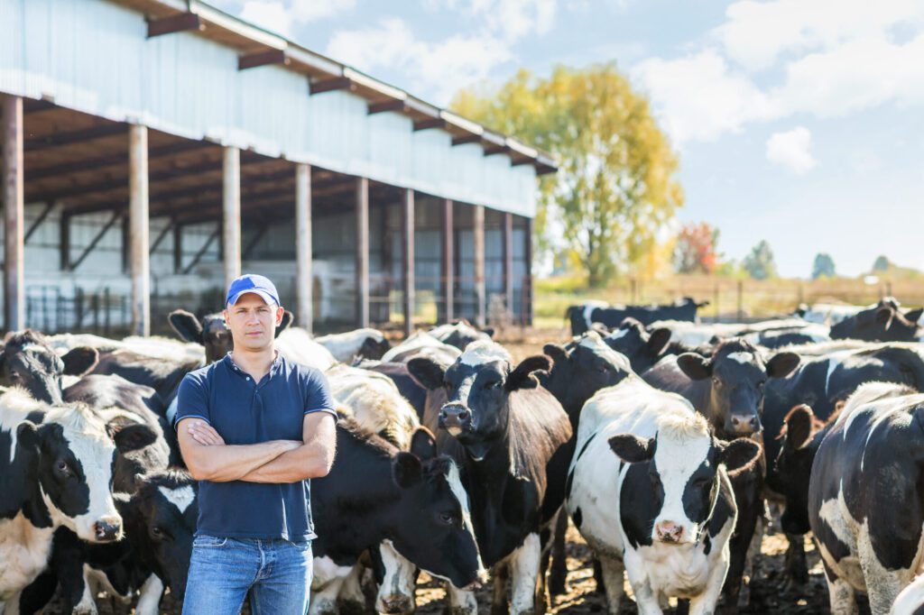 Environmental Liabilities at Agriculture and Farming Properties: Farmer is working on farm with dairy cows