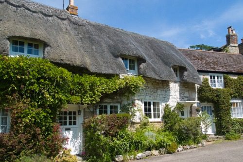 Expert view: Protecting and maintaining your thatched property