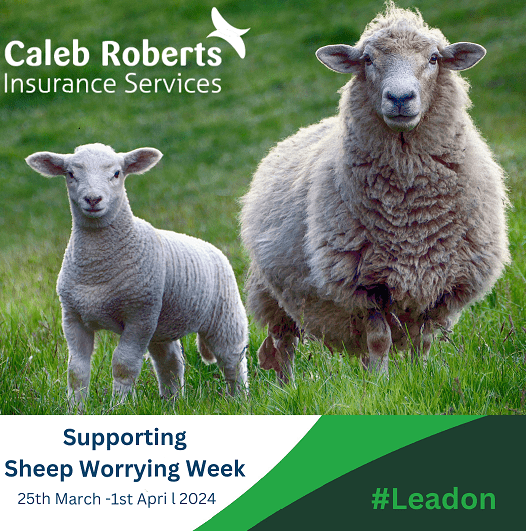 National Sheep Worrying Week