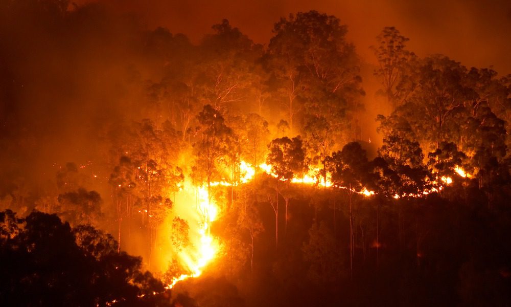 Growing wildfires across Western Canada displacing thousands