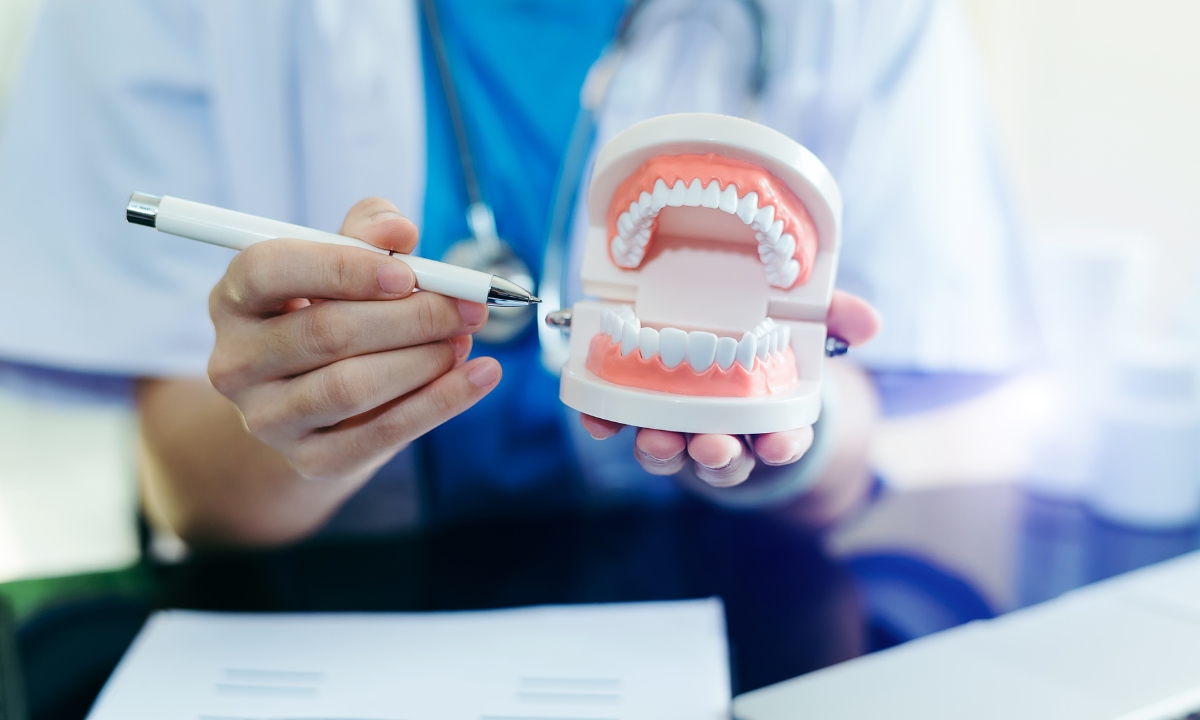 a dentist pointing at a figurine of human teeth