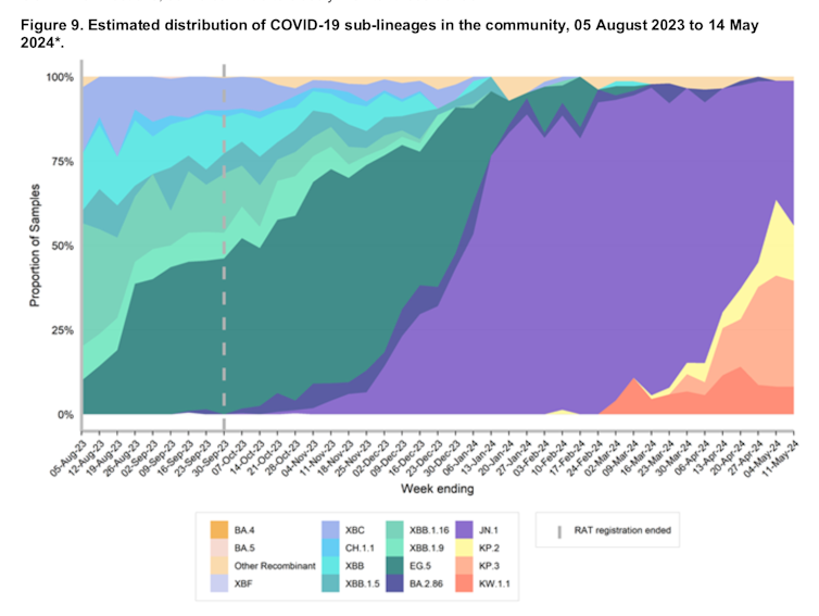 A graph showing the estimated distribution of different COVID sub-lineages in NSW from August 2023 to May 2024.
