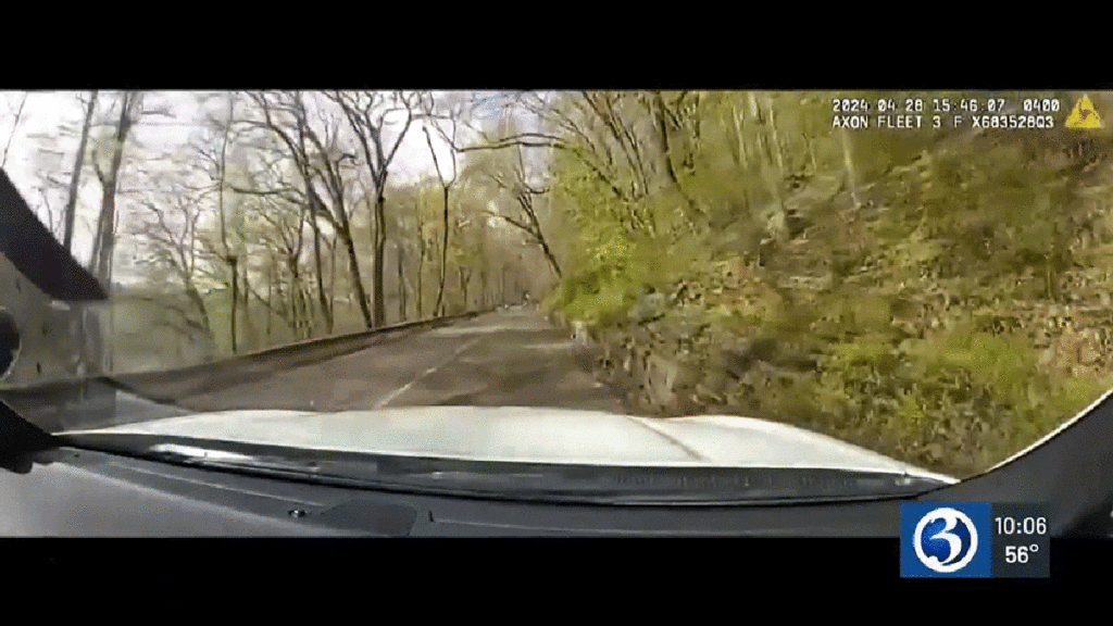 Cops Use Cruiser To Block ATV Rider From Speeding Down Foot Bath With Predictable Results