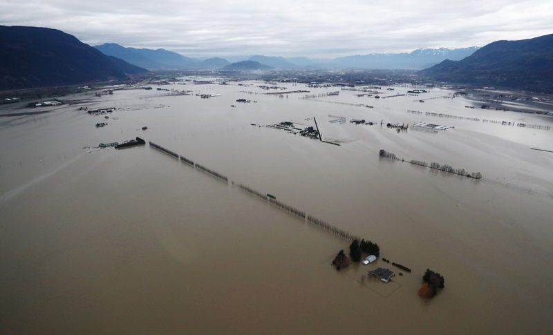 Flooded farms in Abbotsford, B.C.