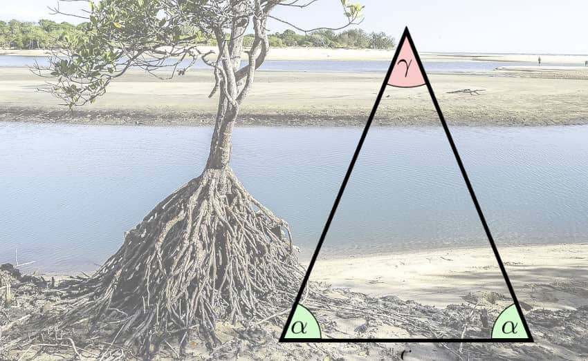 mangrove-risk-solutions-isosceles-marsh