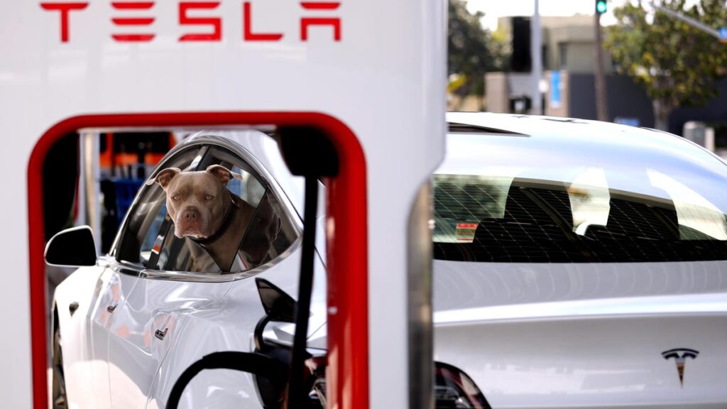 No, You Can't Use An Amazon Adapter To Charge Your Car At A Tesla Supercharger"