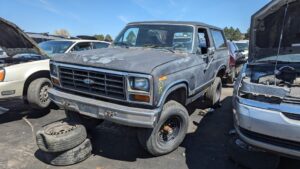 Junkyard Gem: 1983 Ford Bronco