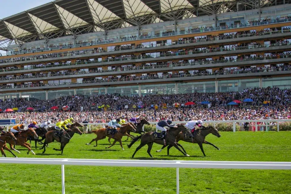 What to expect at Royal Ascot 2024