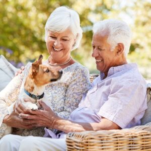 Happy senior couple with a dog on their lap