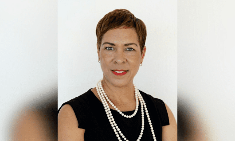 Assessing Bermuda's role in closing the global protection gap