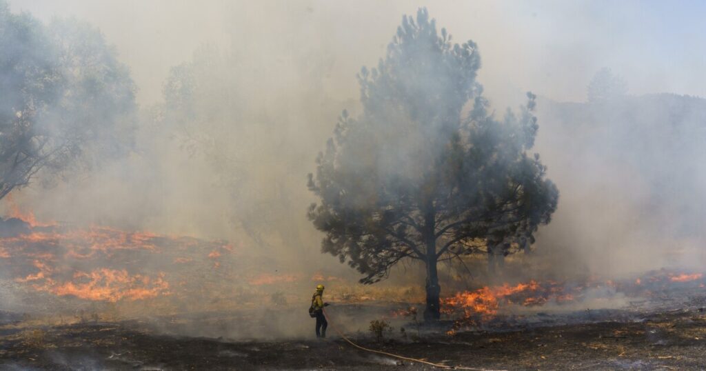 California reveals fire-prone areas it wants insurers to cover