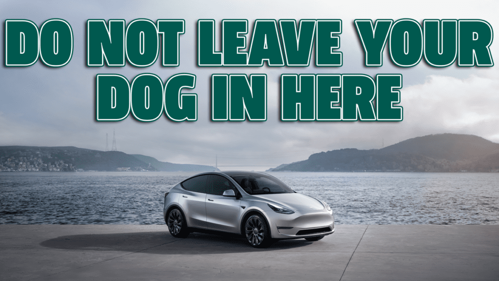 Tesla's Dog Mode Is Reportedly Totally Busted