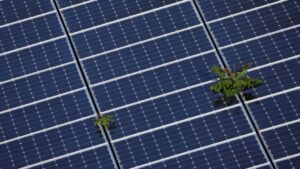 U.S. solar projects could boom as installations hit record