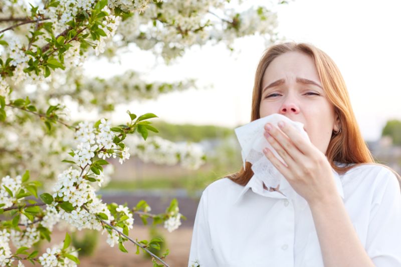 Top hay fever remedies!