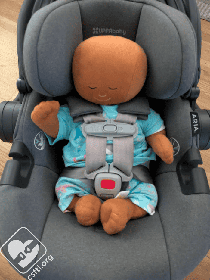 Car Seats For The Littles