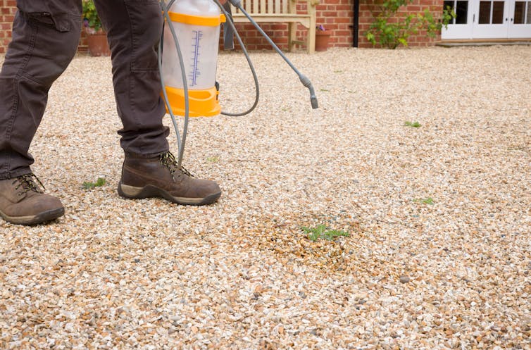 Man sprays weedkiller