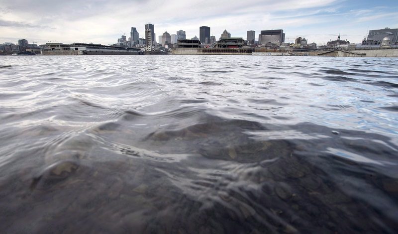 St. Lawrence River near Montreal