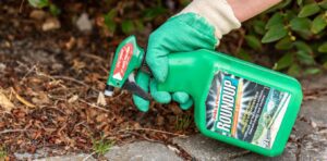 Federal Court finds insufficient evidence Roundup weedkiller causes cancer. What does the science say?