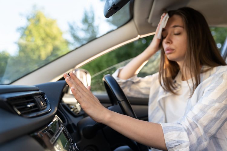 women driver air conditioning