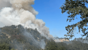 Man Allegedly Starts 36-Acre Wildfire By Driving Truck For More Than 4 Miles With No Tire