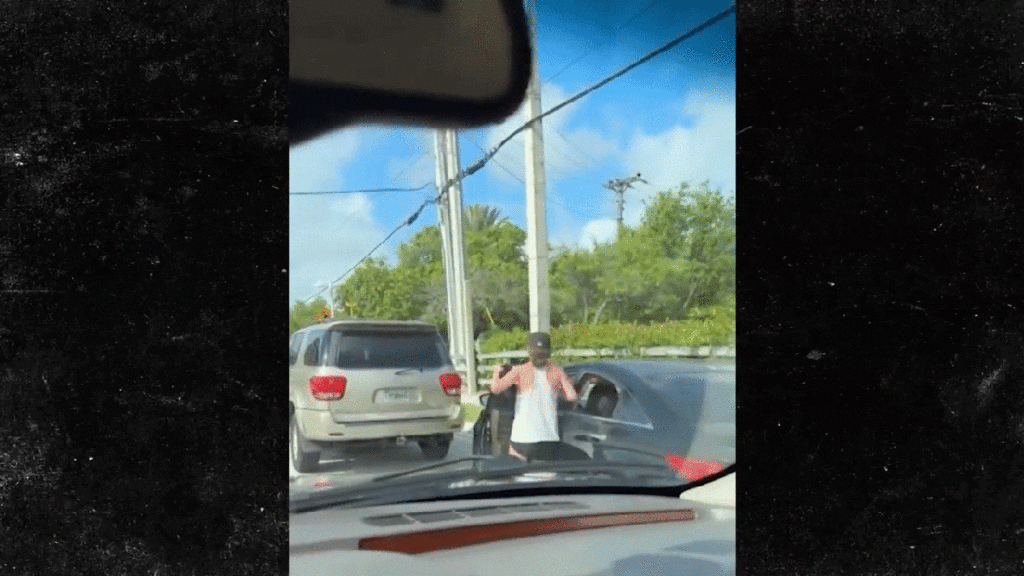 Road Raging Woman Forgets To Put Her Car In Park