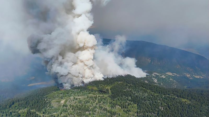 Forest fire and smoke on the side of a mountain.