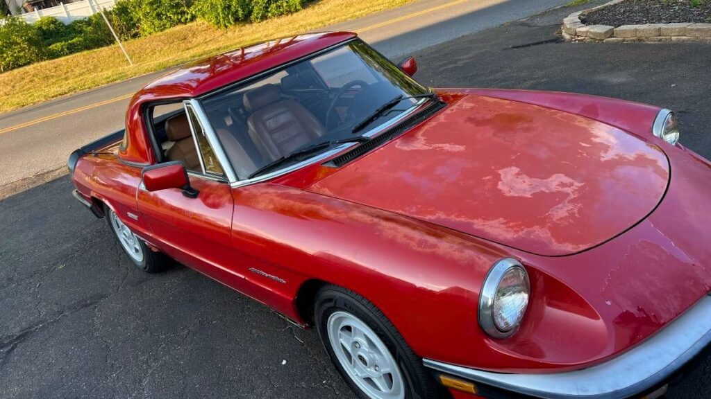 At $2,900, Would You Rush To Buy This 1988 Alfa Romeo Spider Veloce?