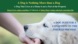 A Dog is Nothing More than a Dog