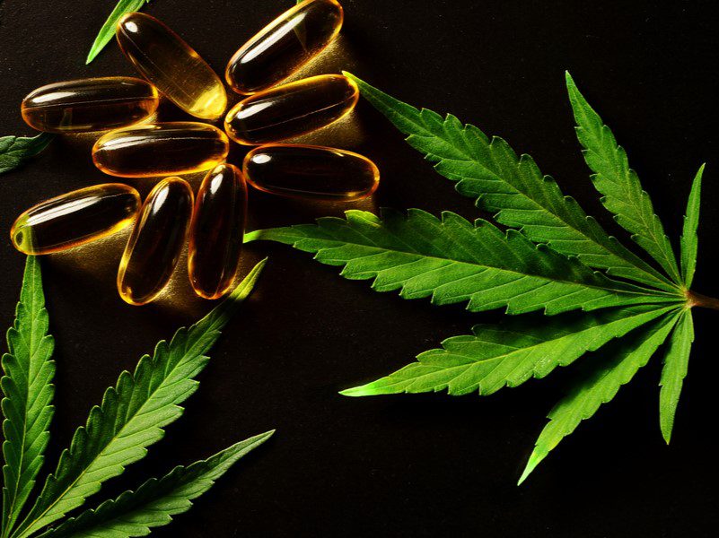 Marijuana leaves and cannabis oil capsules