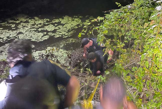 Image for article titled Corvette Thief Hides In Swamp After Wrecking Stolen C7 In 100-MPH Police Chase