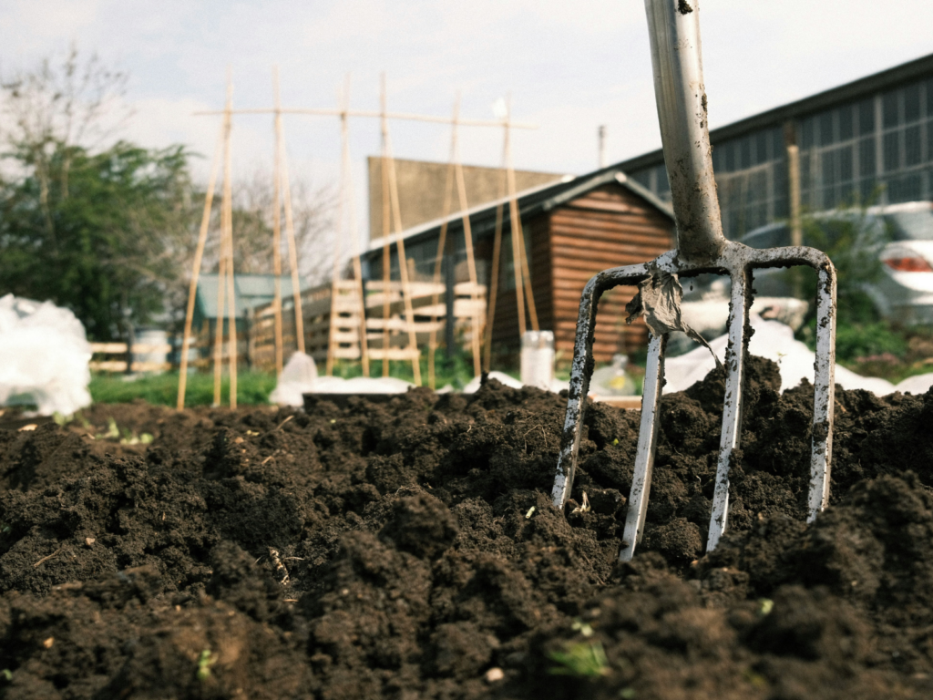 Close-up of gardening fork stuck in soil on an allotment 