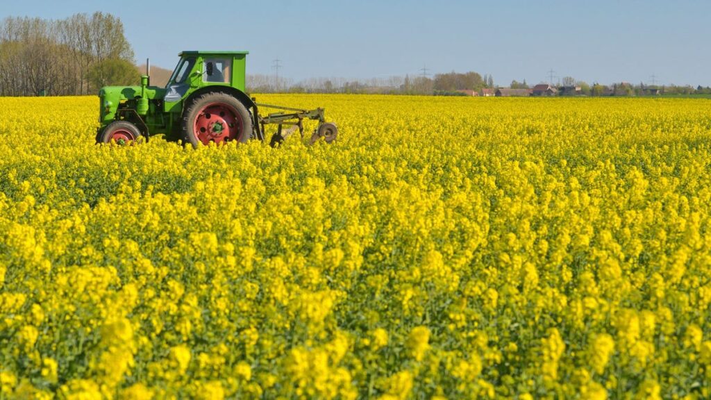 Your Cooking Oil Was Originally Created To Keep Warships Fighting The Germans