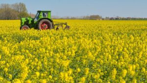 Your Cooking Oil Was Originally Created To Keep Warships Fighting The Germans