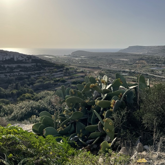 Scenic green hillside views out to sea Mellieha, Malta, 