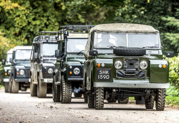 Military style Land Rovers in a line