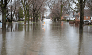 Flood Re hosts over 50 MPs to discuss flood insurance and resilience