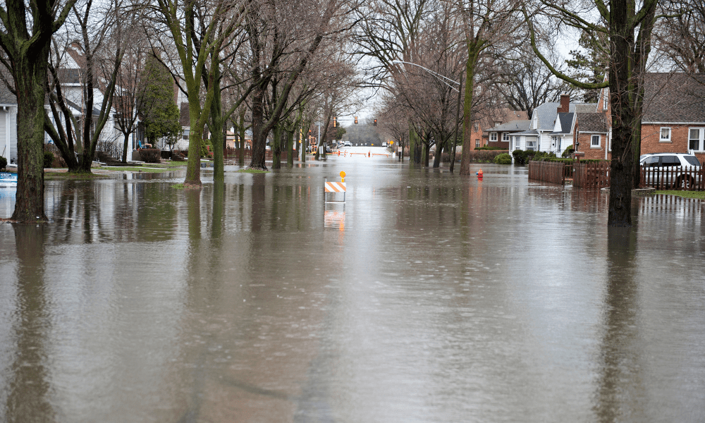 Flood Re hosts over 50 MPs to discuss flood insurance and resilience